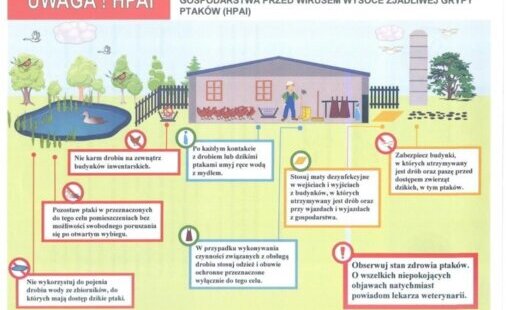 Zdjęcie do Apel Ministra Rolnictwa i Rozwoju Wsi oraz Gł&oacute;wnego Lekarza Weterynarii do hodowc&oacute;w drobiu