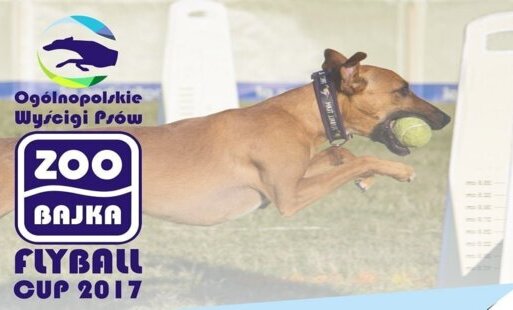 Zdjęcie do ZooBajka Flyball Cup 2017