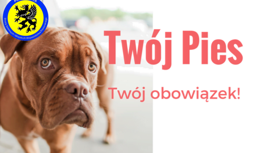 Zdjęcie do Masz psa - masz obowiązki! Straż Miejska sprawdzi jak je wypełniasz