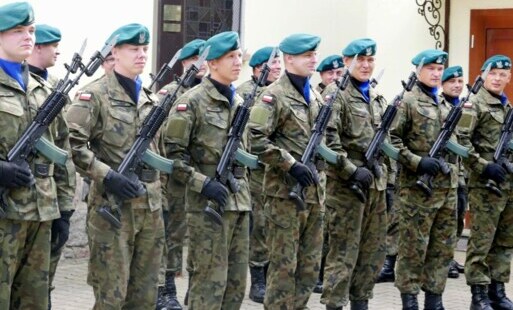 Zdjęcie do Uczciliśmy Święto Wojska Polskiego