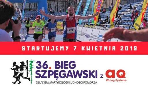 Zdjęcie do Ze Szpęgawska do Starogardu biegiem