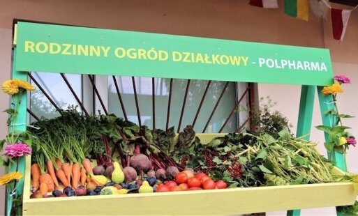 Zdjęcie do Starogard miastem bezpiecznym dla pieszych