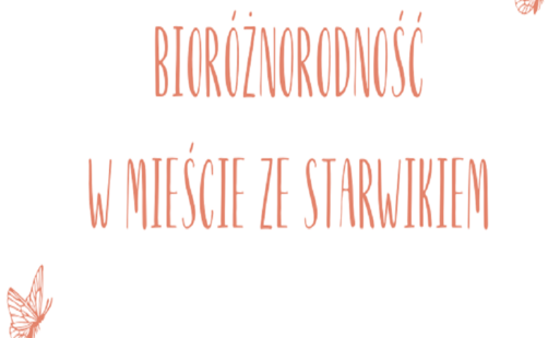 Zdjęcie do Kolorowo i naturalnie