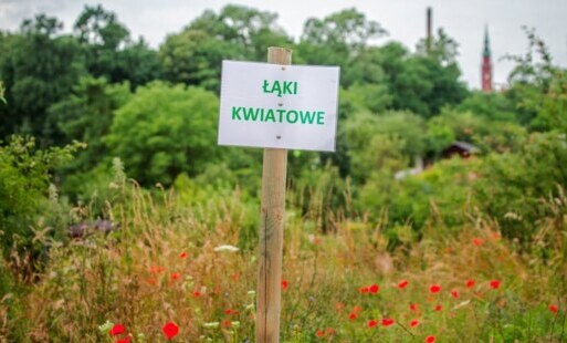 Zdjęcie do Ekologicznie i ekonomicznie