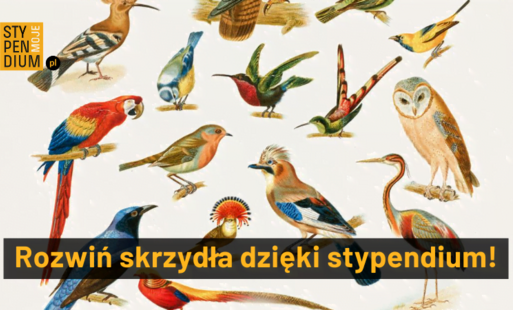 Zdjęcie do Rozwiń skrzydła z Moje Stypendium