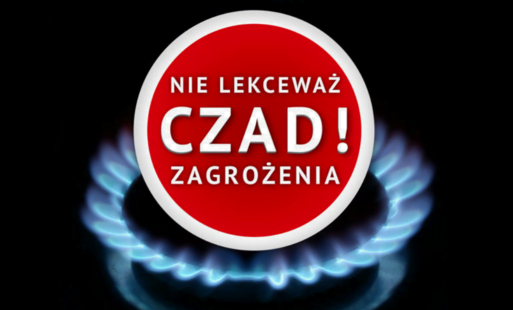 Zdjęcie do Czujka na straży Twojego bezpieczeństwa