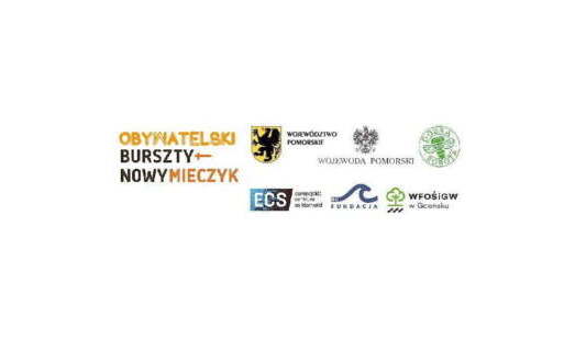 Zdjęcie do Nagroda Bursztynowego Mieczyka