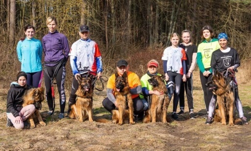 Zdjęcie do Pies Twoim Przyjacielem &ndash; podsumowanie