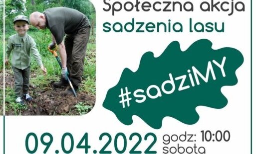 Zdjęcie do #sadziMY las