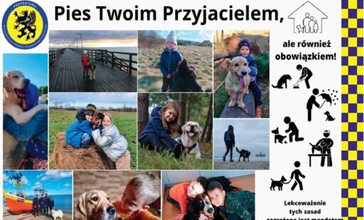 Zdjęcie do Masz psa, masz obowiązki