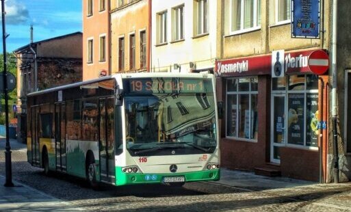 Zdjęcie do Maj&oacute;wkowy rozkład jazdy autobus&oacute;w