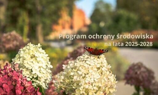 Zdjęcie do Starogard chroni klimat i środowisko