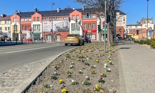 Zdjęcie do Wiosenne porządki w Starogardzie nabierają tempa