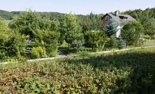 Zdjęcie do Nab&oacute;r wniosk&oacute;w o przyznanie dotacji dla stowarzyszeń ogrodowych