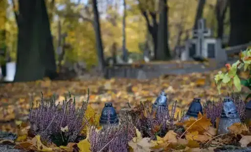 Zdjęcie do  Miejski Zakład Komunikacji uruchamia tymczasowo trzy linie specjalne 