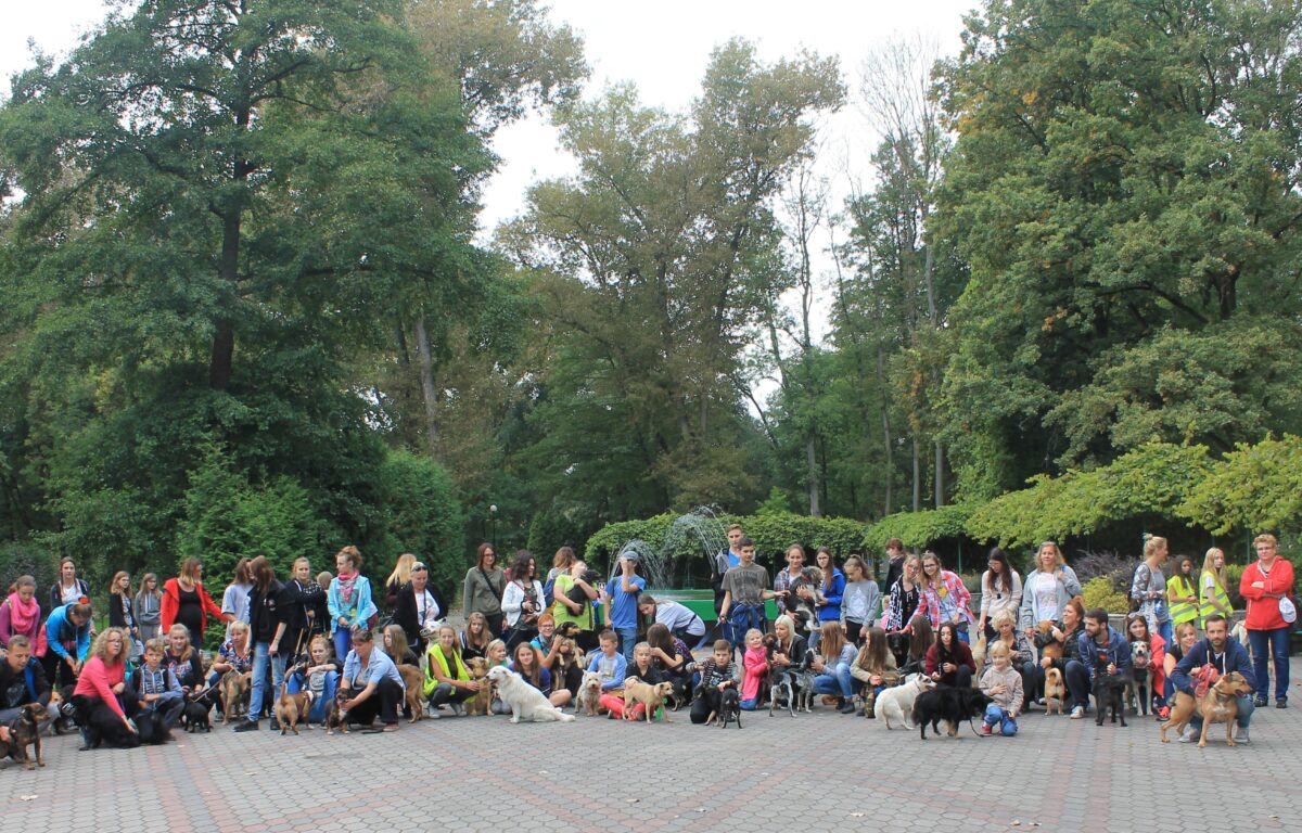 Pies – serce bijące u twych stóp. Październikowy Spacer Przyjaźni w Starogardzie Gdańskim