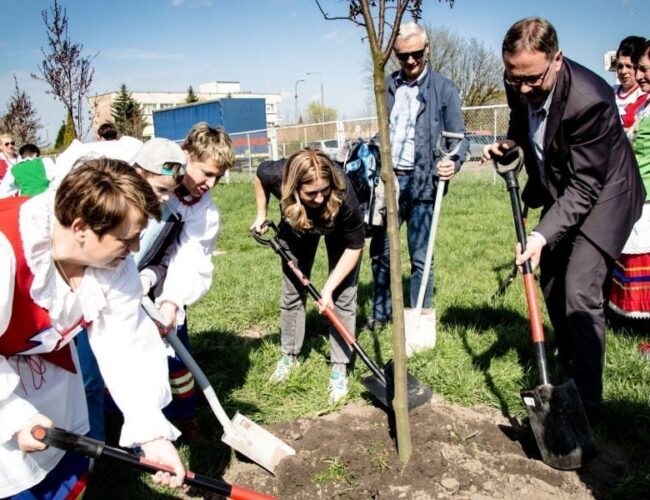 500 nowych drzew rośnie już w Starogardzie