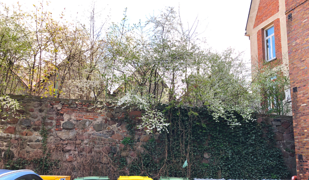 Fragmenty murów Starogard Gd.2