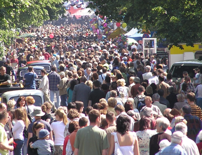 Zasady organizowania zgromadzeń publicznych