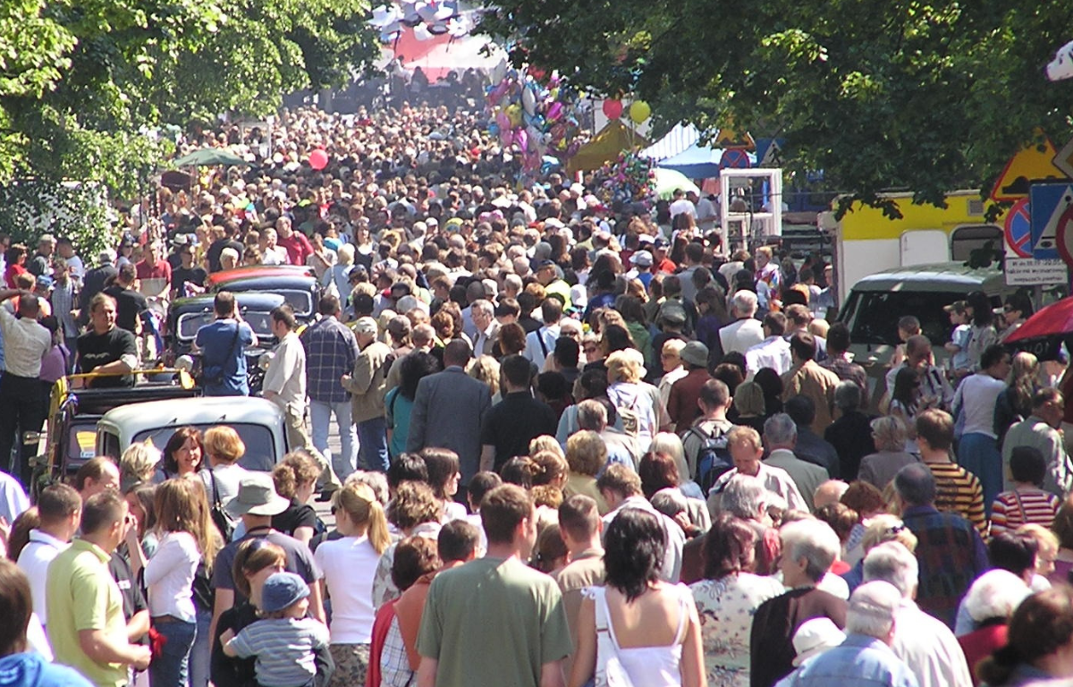 Zasady organizowania zgromadzeń publicznych