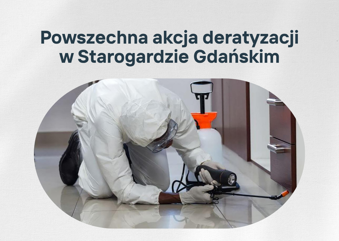 Zbliża się powszechna akcja deratyzacji w Starogardzie Gdańskim. Pamiętaj o wykonaniu swojego obowiązku!