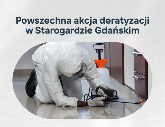 Powszechna akcja deratyzacji w Starogardzie Gdańskim. Pamiętaj o wykonaniu swojego obowiązku!